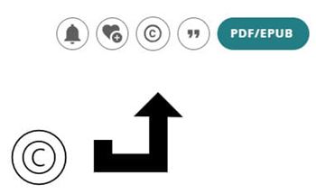 small screenshot showing where the Copyright symbol is within the row of icons